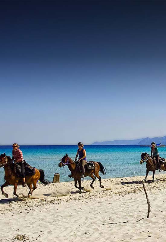 équitation en haute corse