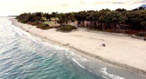 Sandstrand und Pinienwald von oben, 5-Sterne-Campingplatz am Meer auf Korsika