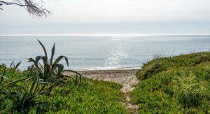 Von Agaven gesäumter Weg zum Strand, Campingplatz am Meer auf Korsika